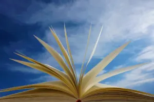 average reading speed pages