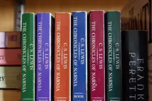 best fantasy book series for adults