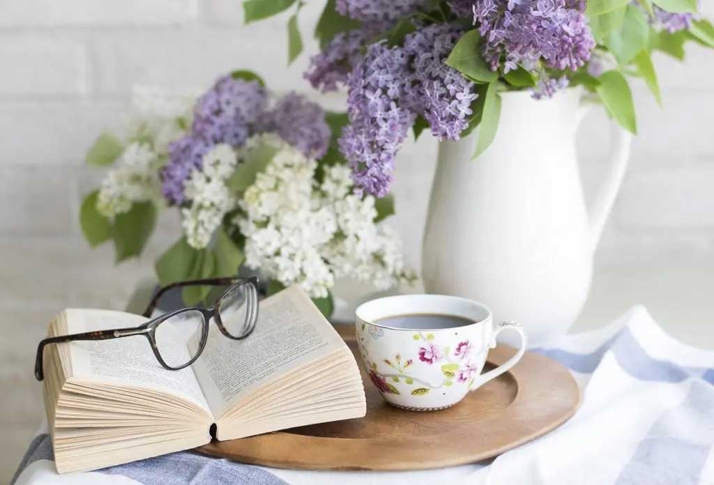 What Is a Cozy Mystery? The Beginner’s Guide to Charming Whodunits (2026)