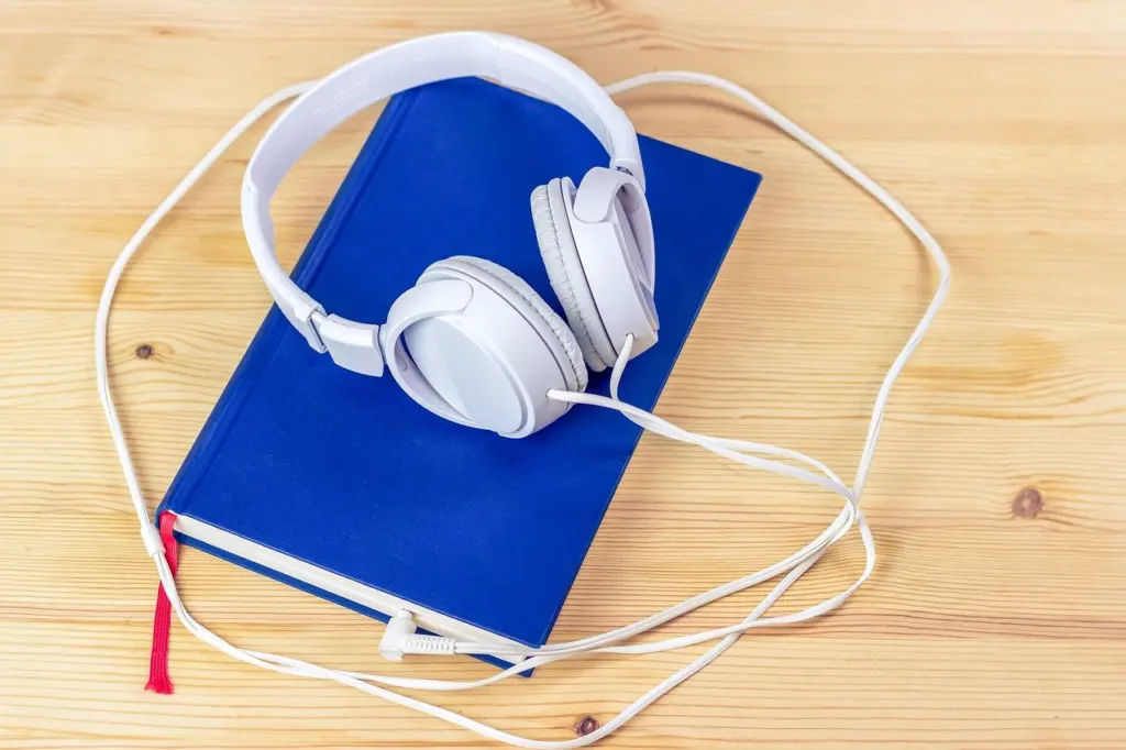 Best Audiobooks: Great Narrators And Listens